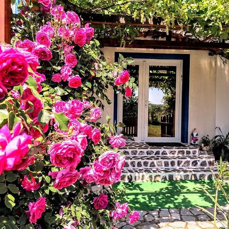 Teo Guest Rooms Баиле Феликс Экстерьер фото