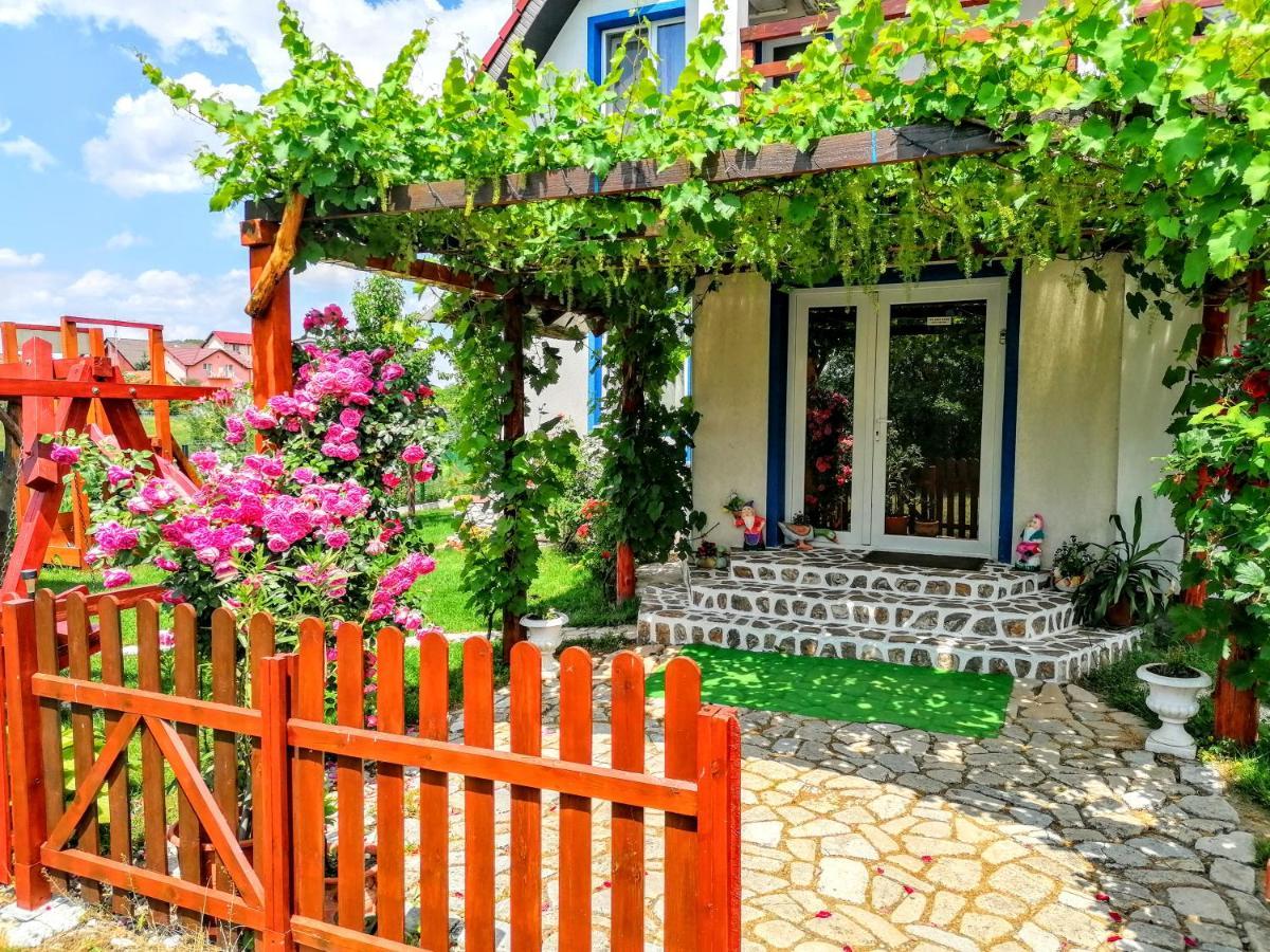 Teo Guest Rooms Баиле Феликс Экстерьер фото